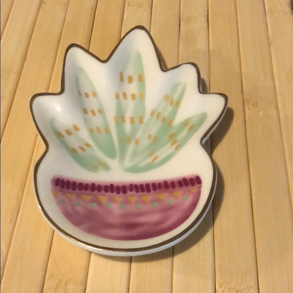 Succulent Trinket Tray